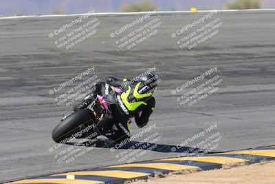 media/Feb-04-2024-SoCal Trackdays (Sun) [[91d6515b1d]]/4-Bowl Backside (11am)/